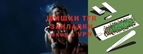 стаф Козельск