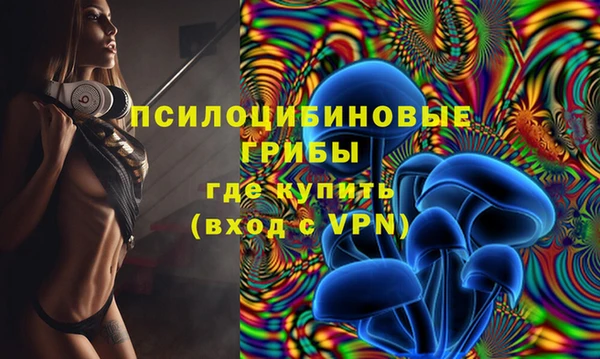 стаф Козельск