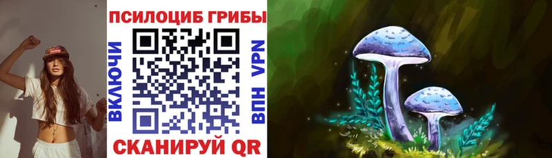 блэк спрут ONION  Сурск  Псилоцибиновые грибы MAGIC MUSHROOMS 