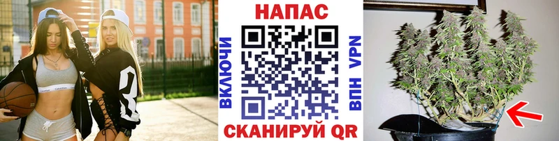 Бошки марихуана White Widow  Сурск 
